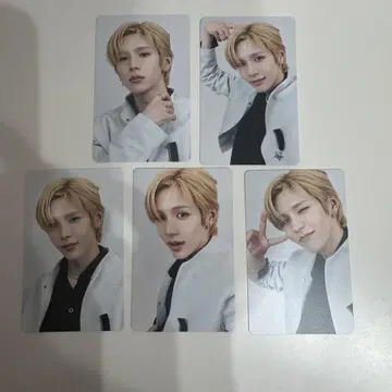 쇼타로 랜트 트레이딩 카드 5 세트