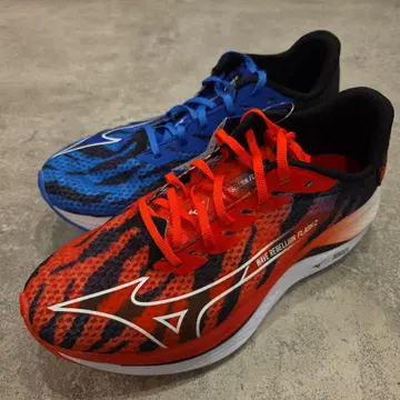 Mizuno Wave Rebellion Flash 2 25.0cm