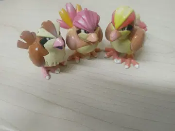 몬코레 포포 피존 피지요트