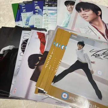 하뉴 유즈루 클리어 파일 30장 모음