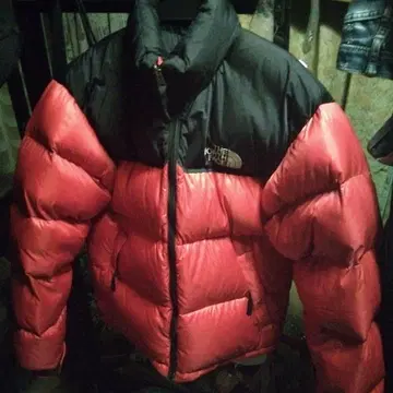 THE NORTH FACE 다운 자켓 빨검