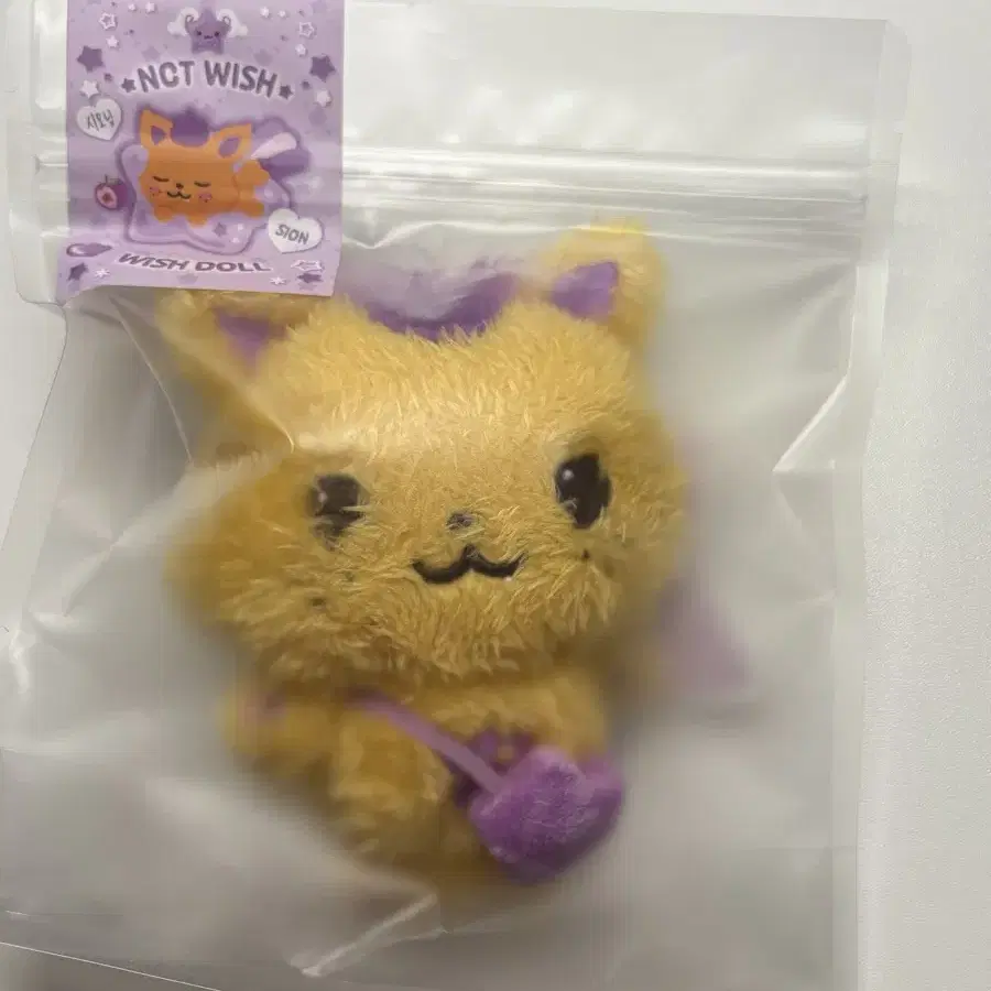 nctwish wishdoll シオニン Ncity Wish NCT Wish Kuri Xioning Fang Yi Sakupang Wish Doll