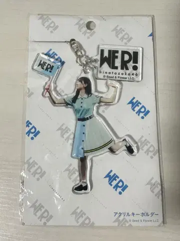 카네무라 미쿠 아크릴 키링 아크릴 스탠드 WE R! 히나타자카46