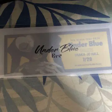 Eve Arena Tour 2025 Under Blue 티켓 스티커