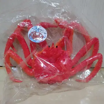 대게 액션 피규어 BIG 약 40cm