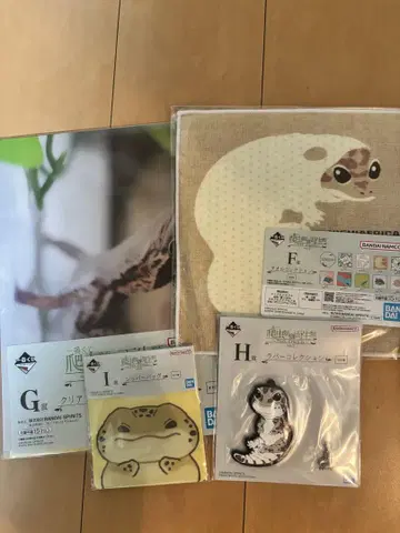제일복권 파충류 및 양서류 파충류 제일복권 니시아후 도마뱀 파충류