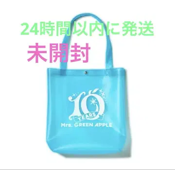 Mrs.GREENAPPLE 미세스 FJORD 클리어 토트백 피요르드
