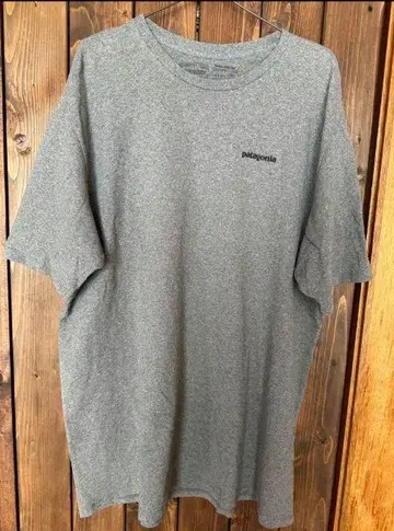 patagonia 그레이 티셔츠