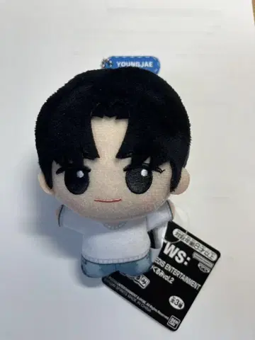 TWS 투아스 SD 인형 용제