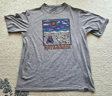 patagonia 파타고니아 캐플린 쿨 데일리 티셔츠 M
