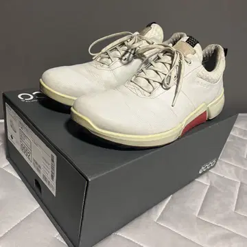 에코 BIOM H4 골프화 43