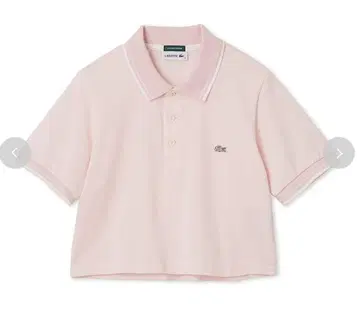 LACOSTE for SNIDEL 크롭 피케 셔츠