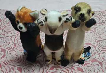 터치 Zoo 프렌즈 봉제 인형 3체 세트