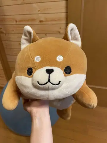 시바견 봉제 인형