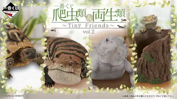 제일복권 파충류&양서류 ~Tiny Friends~ vol.2