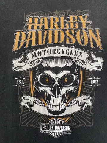 할리 데이비슨 HARLEY DAVIDSON 티셔츠 00s