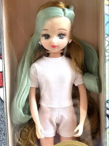 리카짱 캐슬 2023년 셀렉션 모델 리카짱