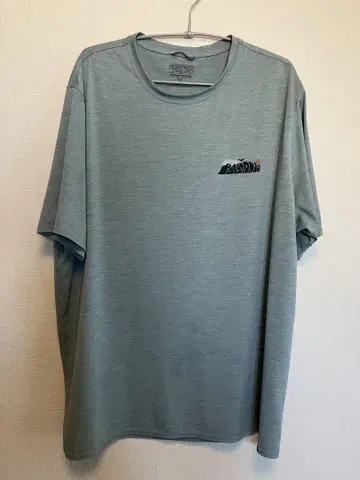 patagonia 파타고니아 캐플린 쿨 데일리 티셔츠
