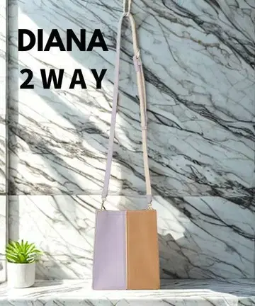 새상품급 [ DIANA ] 핸드백 2WAY 숄더백 바이컬러
