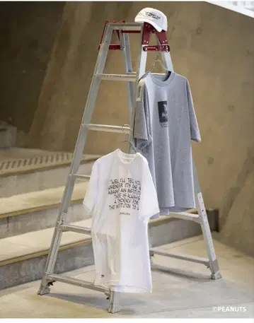 개인이 조직과 대립한 경우 Tee