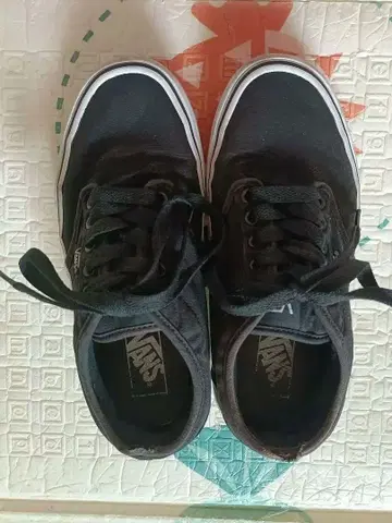Vans atwood 스니커즈