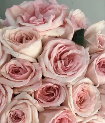 나-상님 BS