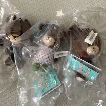 곰의 학교 봉제 인형 3종 세트