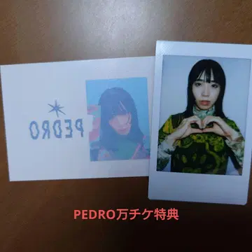 PEDRO 아유니 D 폴라로이드 투어 만장 티켓 혜택 씰