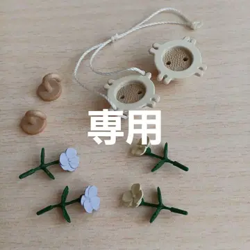 실바니아 팬지