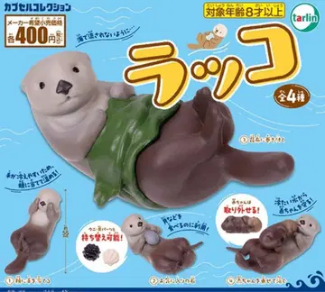 랏코 전 4종 컴프