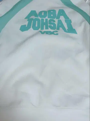 하이큐 아오바죠사이 고교 저리 L 사이즈