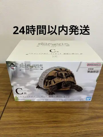 제일복권 파충류&양서류 C상 헬만리쿠가메 피규어