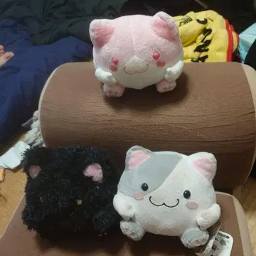 고양이 CLUB 봉제 인형 3종 세트