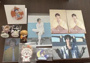 bts JIN 진 세트
