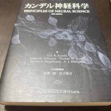 칸델 신경과학