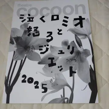 우는 로미오와 화내는 줄리엣 2025 팜플렛