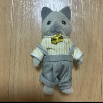 실바니안 패밀리 그레이 고양이 어반 라이프