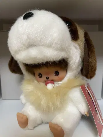 베비치치 요제프