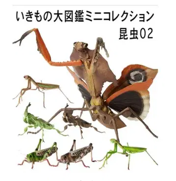 반다이 생물대도감 미니 컬렉션 곤충 02 전 7종 풀세트 미개봉 새상품