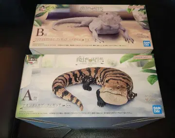 제일복권 파충류 & 양서류 A상 B상 턱수염도마뱀붙이 푸른혀도마뱀