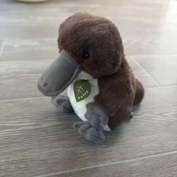 오리너구리 봉제 인형 potte