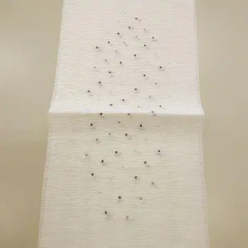 여름 장식용 깃