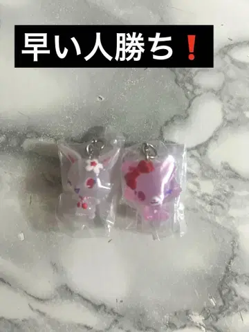 주얼펫 메지루시 액세서리 [선착순]