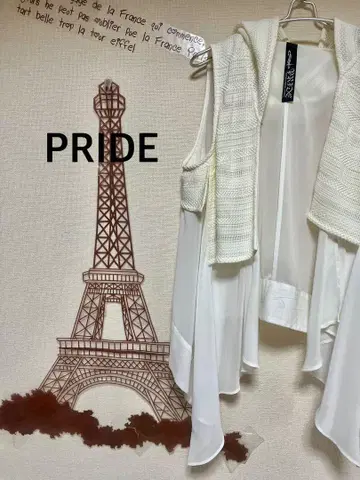PRIDE 시어 도킹 베스트 후드티 L 사이즈