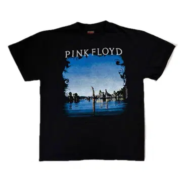 12025 PINK FLOYD 락 T 반팔 양면 프린트 L