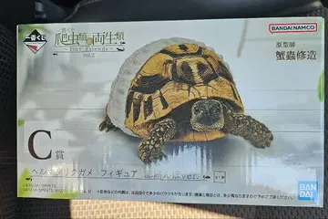 제일복권 파충류&양서류 C상 헤르만 육지거북 피규어
