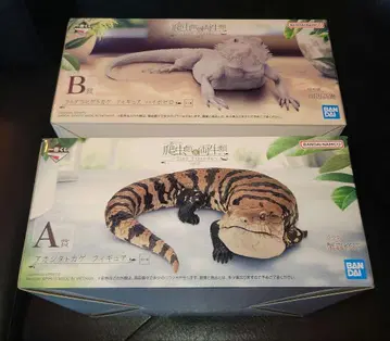 제일복권 파충류 및 양서류 A상 B상 뱀 도마뱀