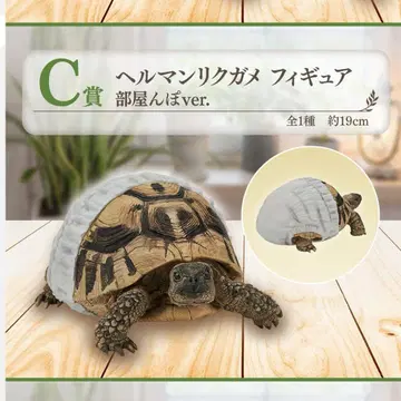 제일복권 파충류&양서류 C상 헬만리쿠가메