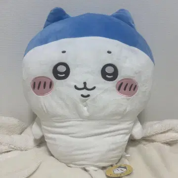 스포츠 컷의 하치와레 초대형 봉제 인형