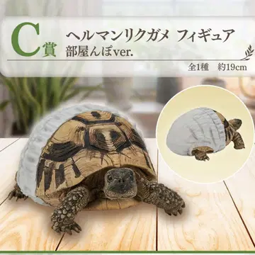 제일복권 파충류 및 양서류 C상 헬만리쿠가메 피규어